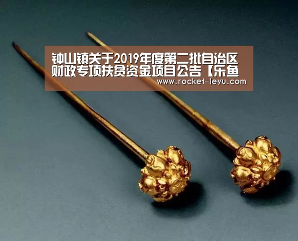 乐鱼电竞官网入口