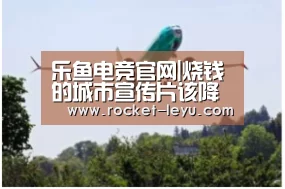 乐鱼电竞官网|烧钱的城市宣传片该降降温了_时事政治_中公教育网(图2) 乐鱼电竞