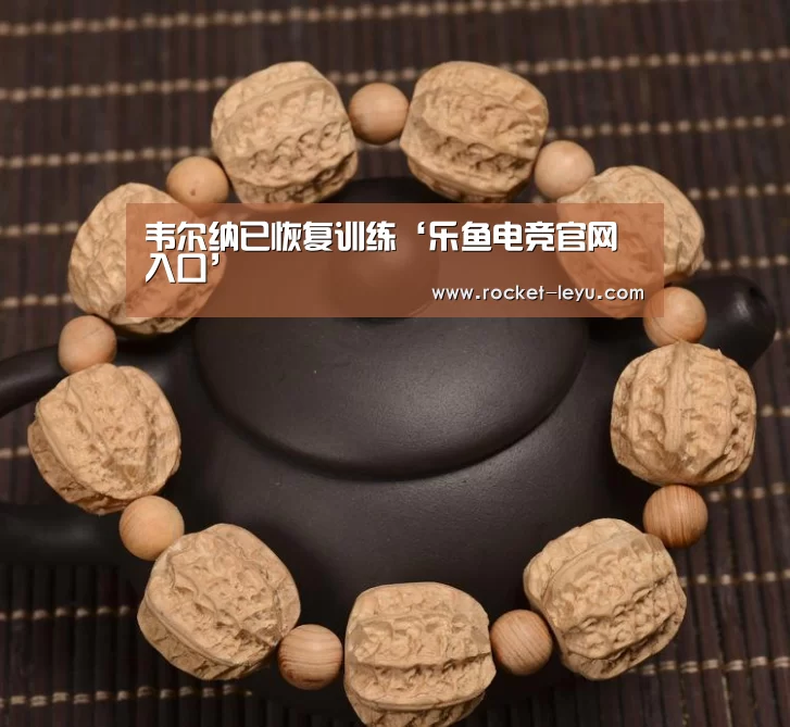 乐鱼电竞官网