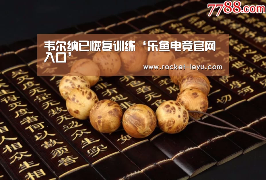 乐鱼电竞官网入口