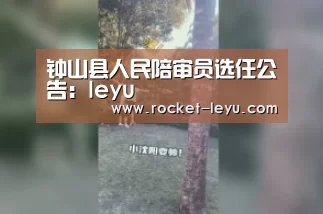 乐鱼电竞官网入口