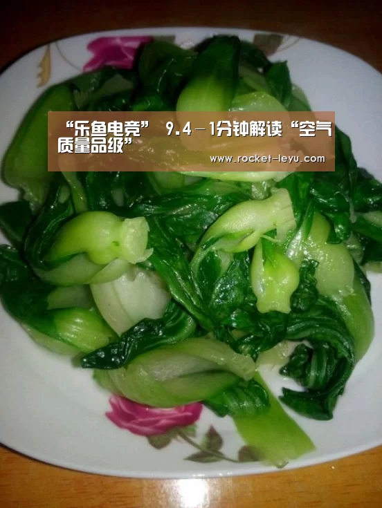 乐鱼电竞官网