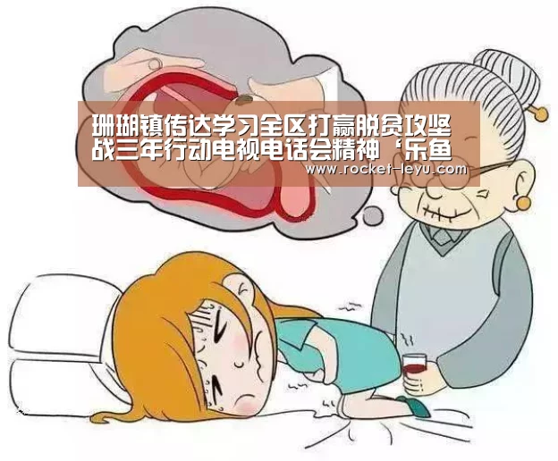 珊瑚镇传达学习全区打赢脱贫攻坚战三年行动电视电话会精神‘乐鱼电竞官网’(图3)