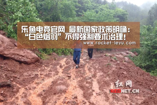 乐鱼电竞官网_最新国家政策明确:“白色烟羽”不得强制要求治理!(图2) 乐鱼电竞官网
