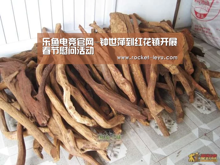 乐鱼电竞官网-钟世萍到红花镇开展春节慰问活动(图2) 乐鱼电竞官网入口