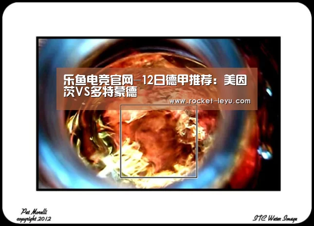 乐鱼电竞官网-12日德甲推荐：美因茨VS多特蒙德